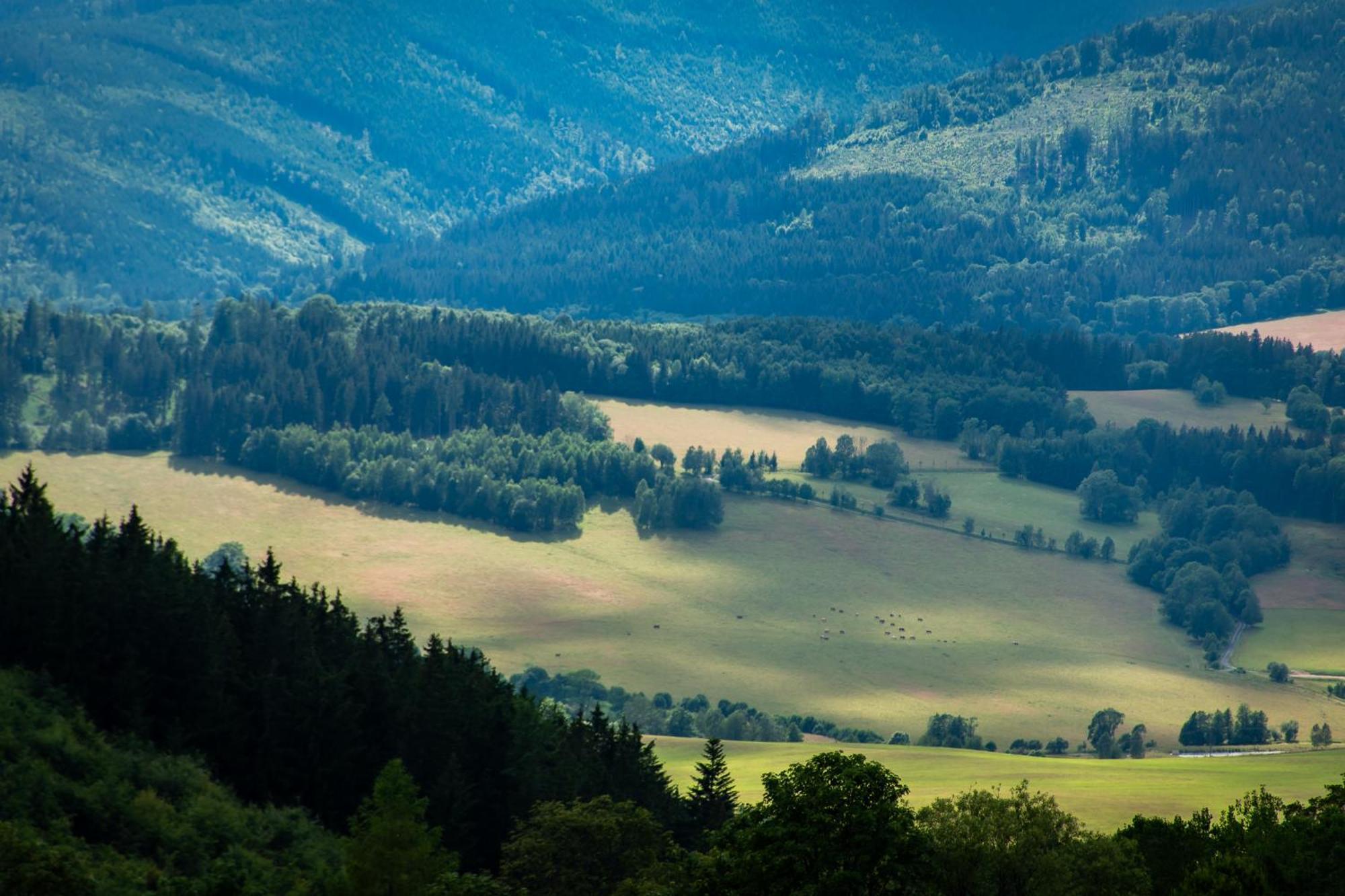 Penzion U Skoly Старе-Место Экстерьер фото